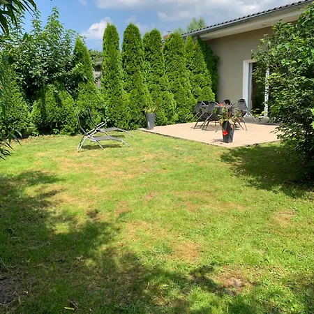 Schwalbe * Saal